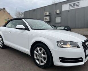 Audi Audi A3 Cabriolet 1.6TDI *Klimatronic/Sitzheizung* Gebrauchtwagen