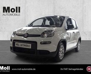 Fiat Panda Gebrauchtwagen