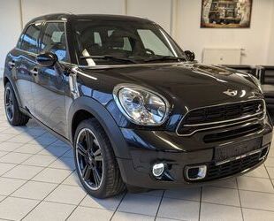 Mini MINI Cooper S Countryman Chili Bi-Xen Navi Pano Le Gebrauchtwagen