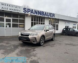 Subaru Subaru Forester XT Platinum Gebrauchtwagen