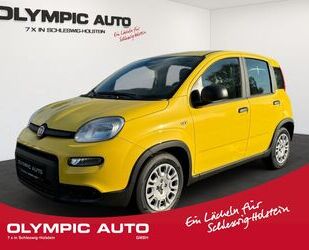 Fiat Fiat Panda 1.0 GSE Hybrid PARKSENSOREN KLIMA GRA D Gebrauchtwagen