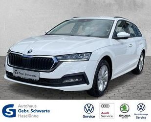 Skoda Skoda Octavia Combi 1.0 TSI Ambition LED+NAVI+SHZG Gebrauchtwagen