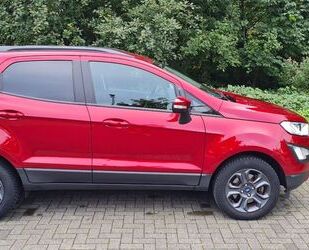 Ford Ford EcoSport 1,0 EcoBoost 92kW Cool & Connect Co. Gebrauchtwagen