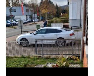 Audi Audi S5 TDI tiptronic quattro Sportback - Gebrauchtwagen