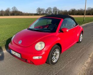 VW Volkswagen New Beetle 1.4 Cabrio HU bis 09/2026 Gebrauchtwagen