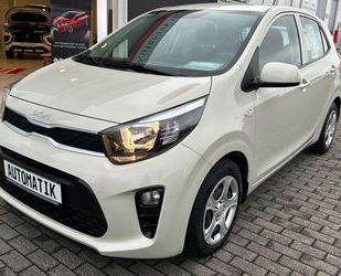 Kia Kia Picanto Dream AUTOMATIK Allwetter 84 PS HU Ne Gebrauchtwagen