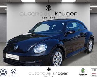 VW Volkswagen Beetle 1.2 TSI SHZ Temp PDCv+h Berganfa Gebrauchtwagen