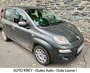 Fiat Fiat Panda Easy | 1.HAND | KLIMA | SCHECKHEFT Gebrauchtwagen