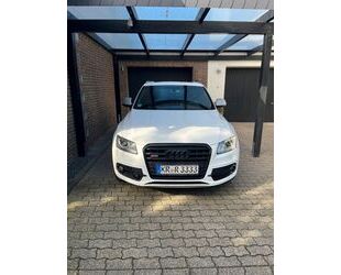 Audi Audi SQ5 3.0 TDI competition-Service Neu Gebrauchtwagen