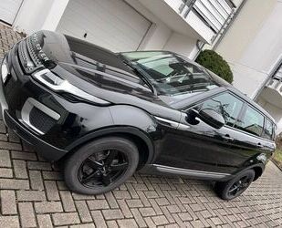 Land Rover Land Rover Range Rover Evoque 2.0 TD4 132 kW Pure Gebrauchtwagen