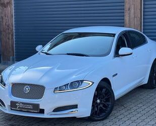 Jaguar Jaguar XF/Leder/Navi/Kamera/KeyG/SHZ/Tempo/LED/BLA Gebrauchtwagen