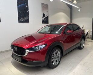 Mazda Mazda CX-30 2.0L e-SKYACTIV G, Bose, 360 Grad, Nav Gebrauchtwagen