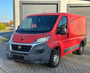 Fiat Fiat Ducato 2.0 D Kasten 30 115 L1H1 RS: 3000 mm Gebrauchtwagen