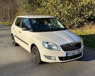 Skoda Skoda Fabia 1.2l 51kW Active Active Gebrauchtwagen