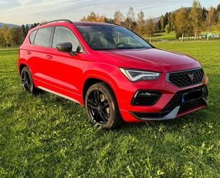 Cupra Cupra Ateca 2.0 TSI 4Drive DSG PANO BEATS 360* LED Gebrauchtwagen