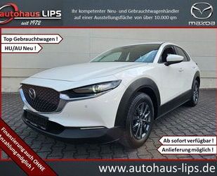 Mazda Mazda CX-30 SkyActiv-G 122 Selection | LED | HUD | Gebrauchtwagen