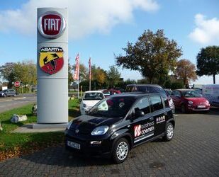 Fiat Fiat Panda 1,0 GSE Hybrid ZV Klima usw. Gebrauchtwagen