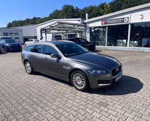 Jaguar Jaguar XF Sportbrake 8 Reifen, AHK, sehr guter Zus Gebrauchtwagen