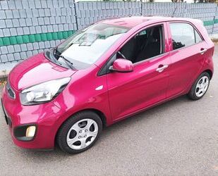 Kia Kia Picanto 1.0 FIFA World Cup Edition erst 34700 Gebrauchtwagen