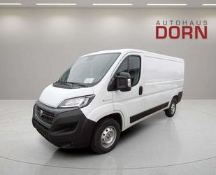 Fiat Ducato Gebrauchtwagen