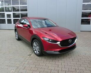 Mazda Mazda CX-30 G 2.0 Selection Design-Paket Matrix-LE Gebrauchtwagen