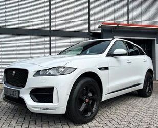 Jaguar Jaguar F-Pace R-Sport 20d AWD BLACK-PACKED Gebrauchtwagen