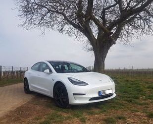 Tesla Tesla Model 3 Long Rang Allrad - neuer Akku in 12/ Gebrauchtwagen