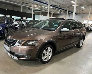 Skoda Skoda Octavia SCOUT 4X4 DSG DCC PANO CANTON KAMERA Gebrauchtwagen