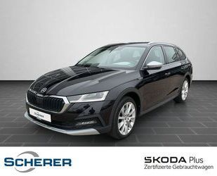 Skoda Skoda Octavia Combi 2.0 TDI Scout 4x4 NAVI RFK SHZ Gebrauchtwagen