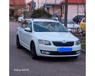 Skoda Skoda Octavia 2.0 TDI Green tec Joy Combi Joy Gebrauchtwagen