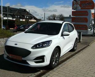 Ford Ford Kuga 2.5 Duratec PHEV ST-LINE X,B&O,PDC,Winte Gebrauchtwagen