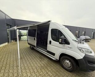 Fiat Fiat Ducato Luxusbus Panorama Modular 33 150 L2H2 Gebrauchtwagen