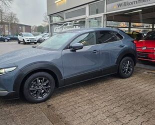 Mazda Mazda CX-30 **38000 KM**KLIMA*NAVI*HUD*ALU* Gebrauchtwagen