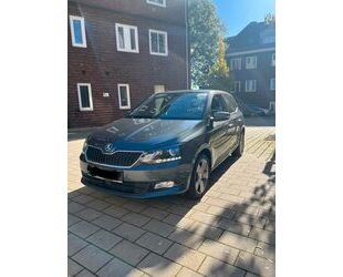 Skoda Skoda Fabia Joy Gebrauchtwagen