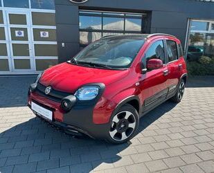 Fiat Fiat Pandina 1.0 Mild Hybrid Cross MY24 Gebrauchtwagen