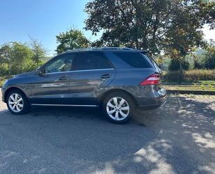 Mercedes-Benz Mercedes-Benz ML 350 Vollausstattung, Panorama, Di Gebrauchtwagen