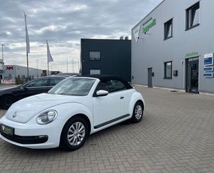 VW Volkswagen Beetle Cabriolet Basis BMT Gebrauchtwagen