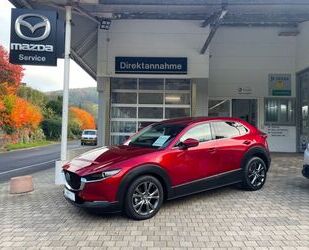 Mazda Mazda CX-30 Selection AWD X-180 Automatik Leder Gebrauchtwagen