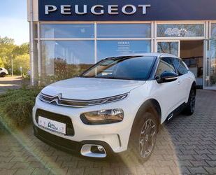 Citroen Citroën C4 Cactus PureTech 110 Shine **SHZ/ NAVI/ Gebrauchtwagen