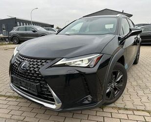 Lexus Lexus UX250 Hybrid Luxury Line Gebrauchtwagen