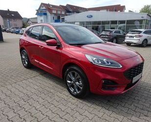 Ford Ford Kuga Plug-In Hybrid ST-Line X Panoramadach Gebrauchtwagen