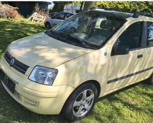 Fiat Fiat Panda Gebrauchtwagen