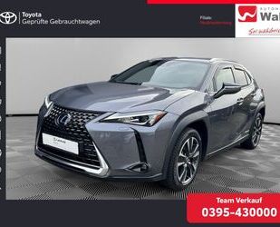 Lexus Lexus UX250h Style Edition Gebrauchtwagen