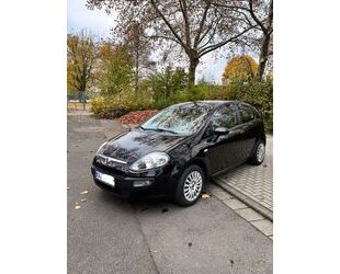 Fiat Fiat Punto Evo 1.2 8V Active Active Gebrauchtwagen