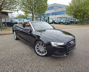 Audi Audi A5 Cabriolet 2.0 TDI-NAVI-LEDER-XENON-EURO6 Gebrauchtwagen