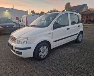 Fiat Fiat Panda 1.2 8V Dynamic Gebrauchtwagen