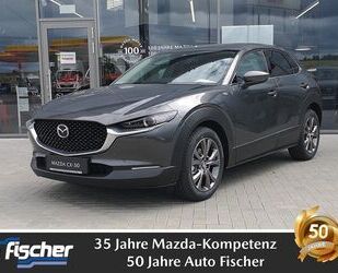 Mazda Mazda CX-30 2.0 (186PS) Schalter Exclusive Daso-P. Gebrauchtwagen