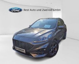 Ford Ford Kuga ST-Line X Gebrauchtwagen