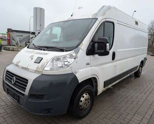 Fiat Fiat Ducato Grossr.-Kasten 33 100 L4 Gebrauchtwagen