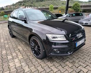 Audi Audi SQ5 3.0 TDI quattro Black Edition 8-fach 21 Z Gebrauchtwagen